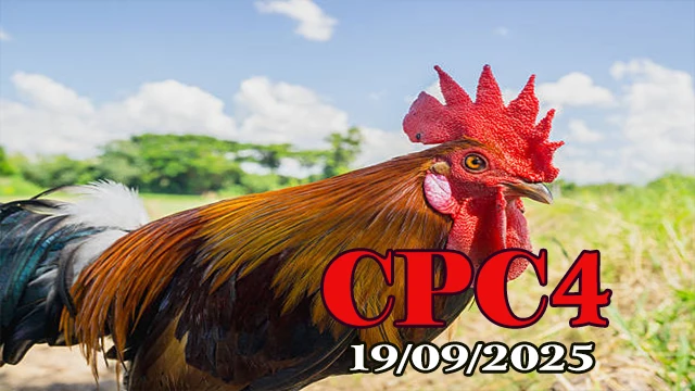 Link xem lại đá gà Thomo C4 hôm nay 19/09/2025
